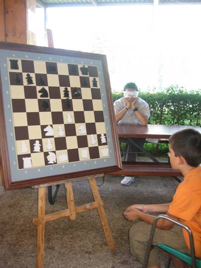 Ajedrez a la Ciega